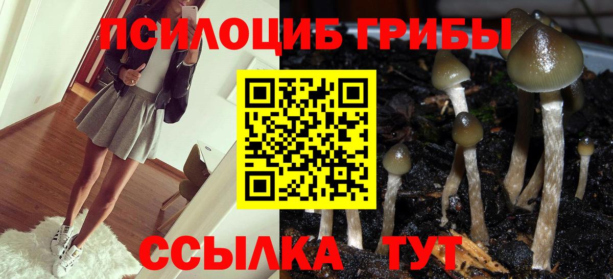 Одинцово  Галлюциногенные грибы мицелий  Вход с VPN 
