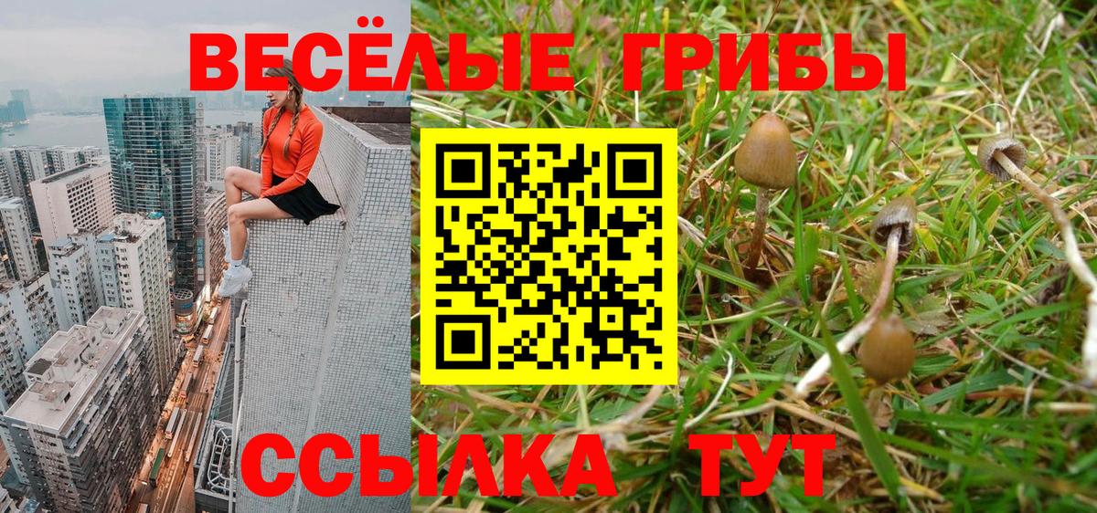 Экстази  Одинцово  Лсд 25  КОКАИН  МЕФ   Марихуана  ГАШИШ  Alpha PVP СОЛЬ   Вход с VPN 